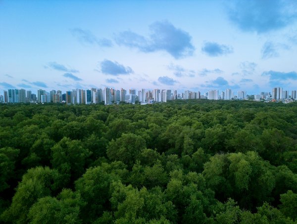 Solution rapide de connexion temporaire