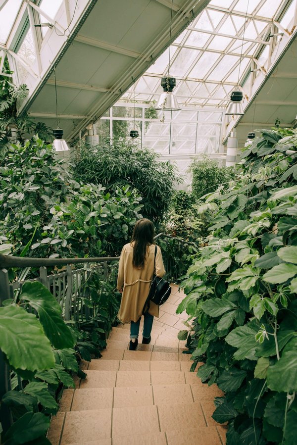 Quels sont les avantages des jardins thérapeutiques dans les hôpitaux et maisons de retraite ?